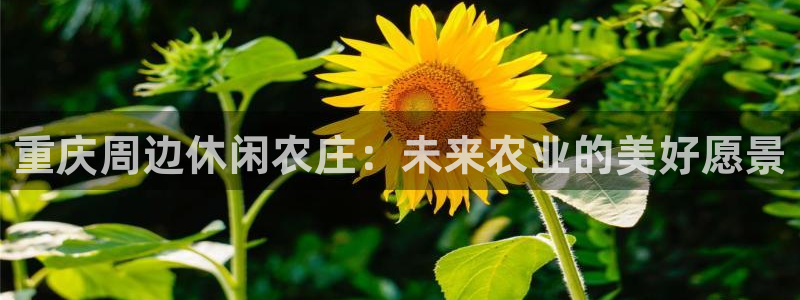 FH至尊黑钱：重庆周边休闲农庄：未来农业的美好愿景