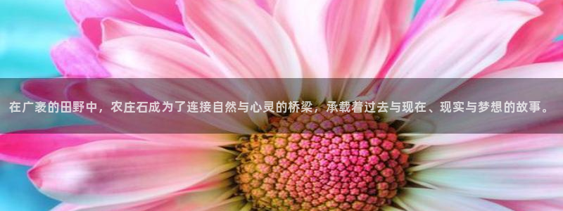 FH至尊版：在广袤的田野中，农庄石成为了连接自然与心灵的桥梁