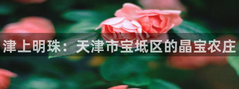 fh凤凰至尊平台