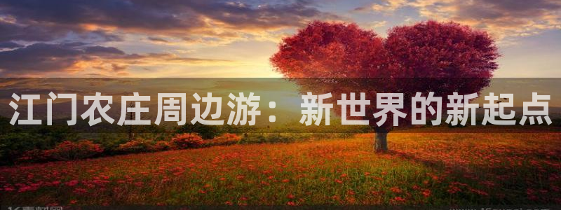 fh至尊是老凤凰平台吗