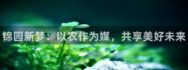 FH至尊平台是什么平台