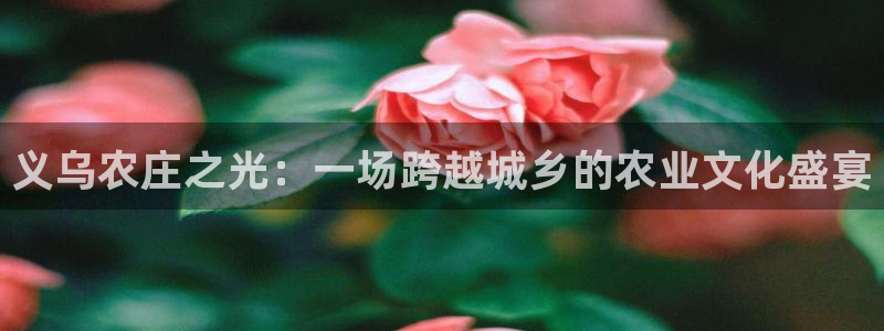 FH至尊开户平台
