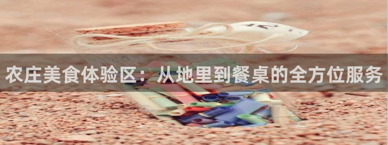 FH至尊客服