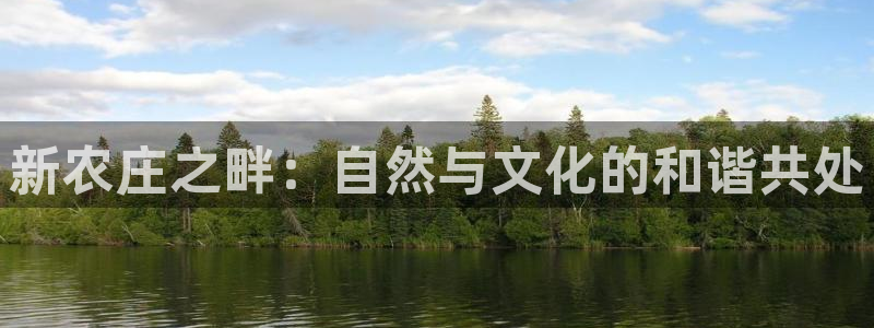 fh至尊游戏模式