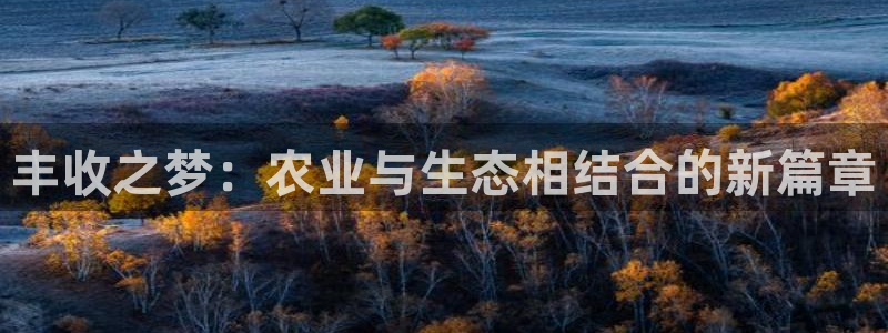 FH至尊开户平台