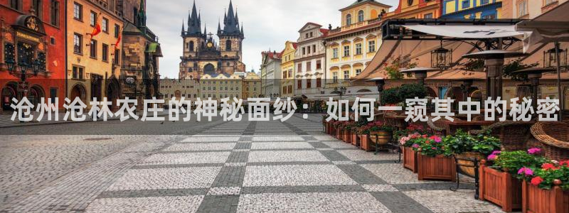 fh至尊是老凤凰平台吗