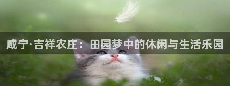 fh至尊