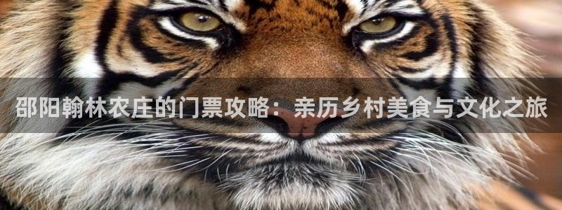 fh至尊怎么改密码