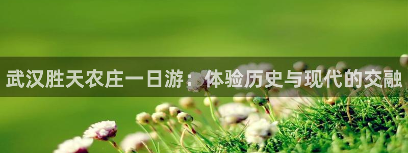 fh至尊邀请码