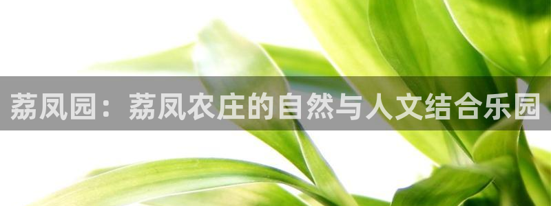 fh至尊平台怎么提现