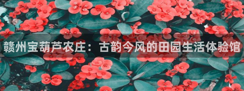 fh至尊平台如何提现