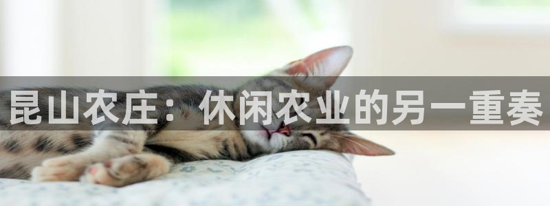 FH至尊不给提现