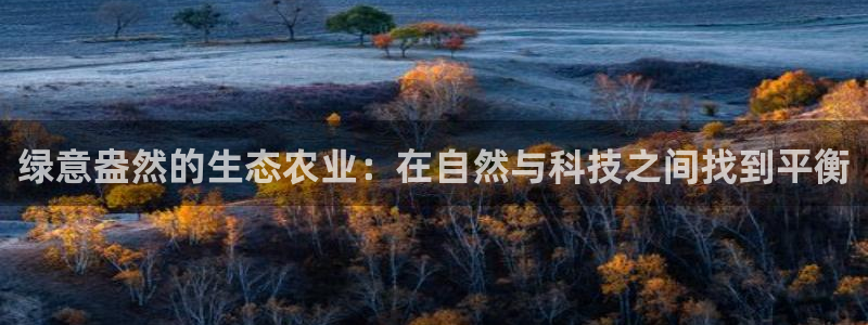 fh至尊品牌介绍