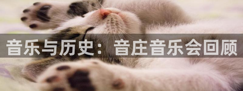 老凤凰改名FH至尊黑钱