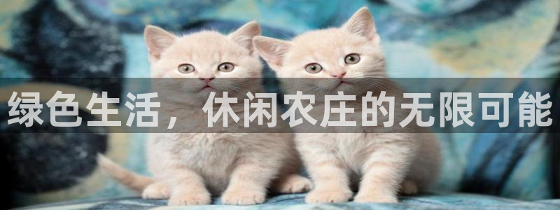 fh至尊网页登入