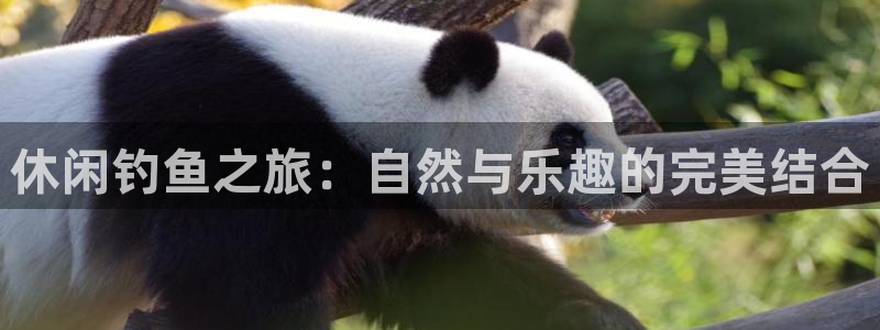 fh至尊是凤凰平台么