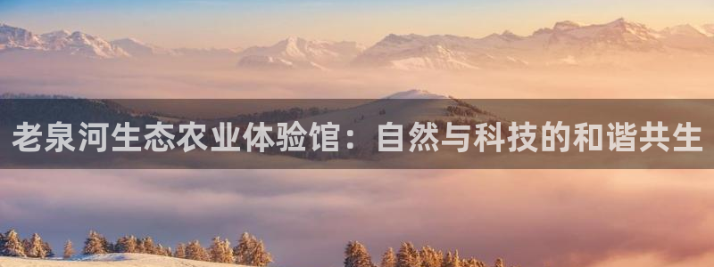 fh至尊黑不黑