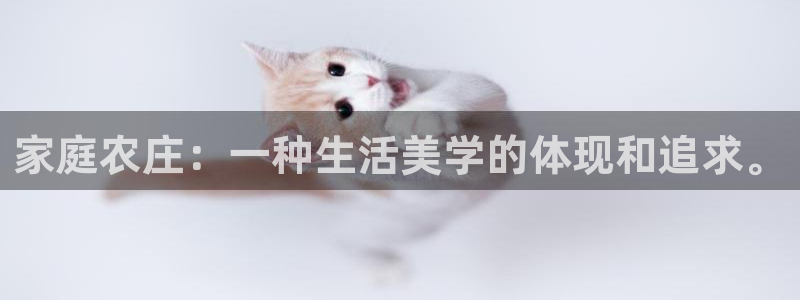 FH至尊平台是什么平台
