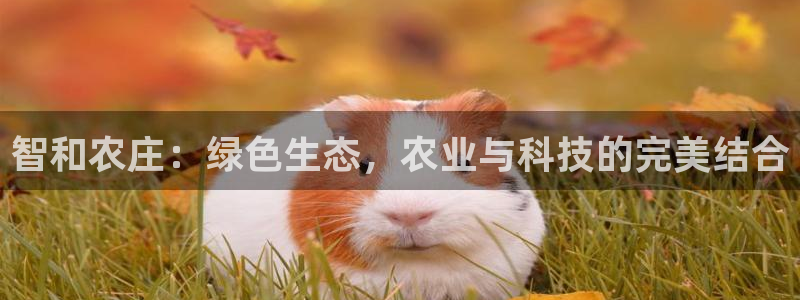 FH至尊娱乐平台