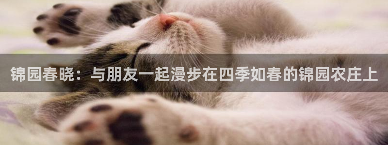 fh至尊基础奖金多少