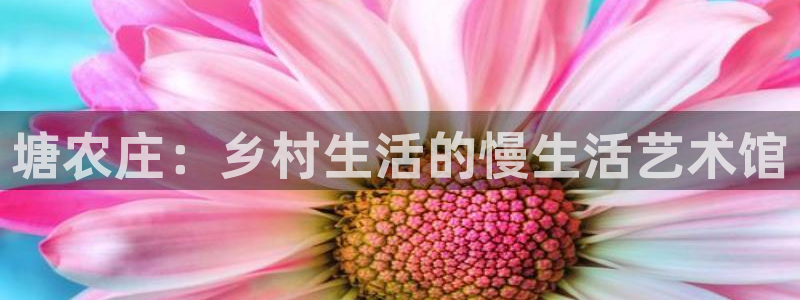 fh至尊游戏代理
