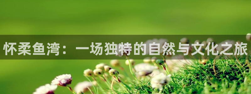 FH至尊平台登录