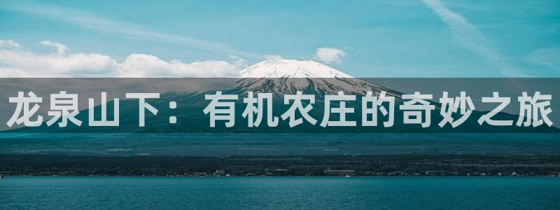 沃尔沃fh500至尊款