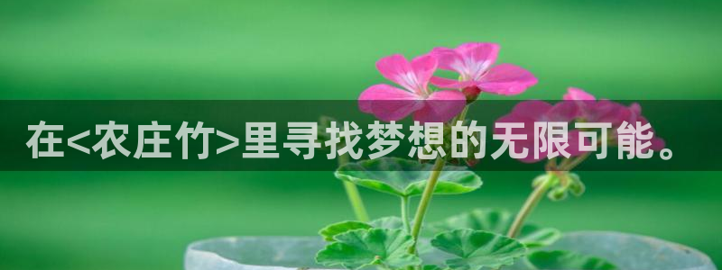 FH至尊信誉怎么样