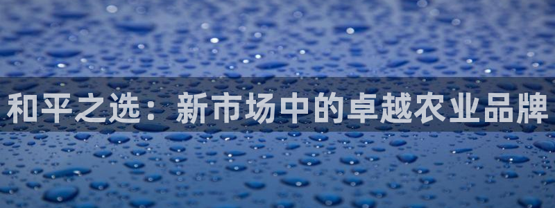 FH至尊招商
