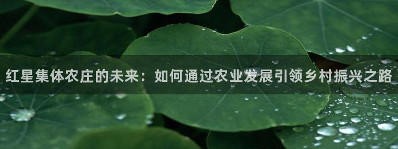 FH至尊apk
