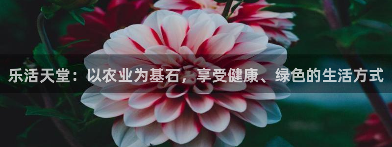 FH至尊属于哪里啊公司
