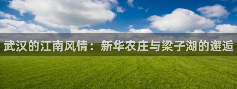 FH凤凰至尊娱乐