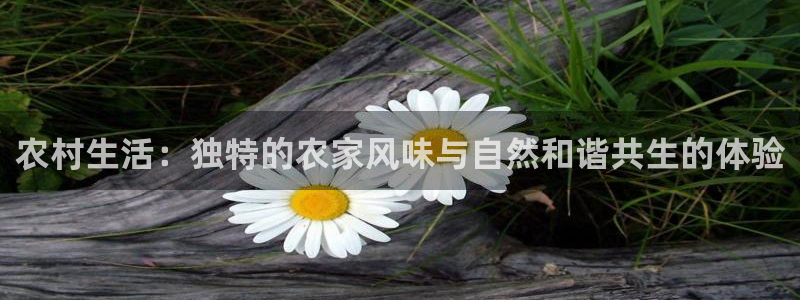 凤凰FH至尊
