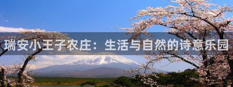 fh 至尊