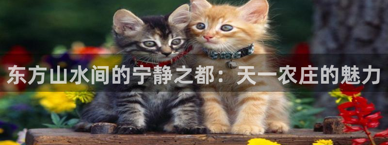 FH凤凰至尊娱乐