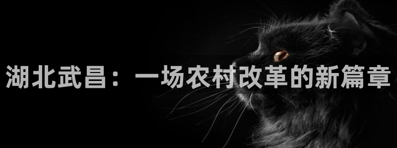 FH至尊官方入口
