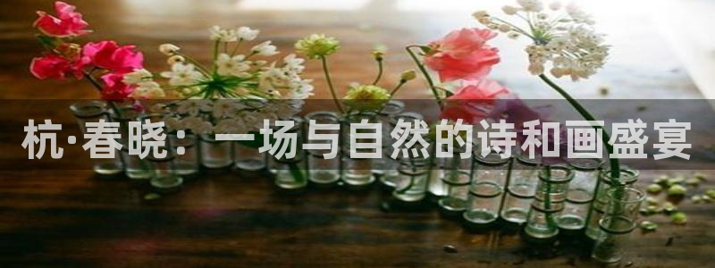 fh至尊是老凤凰平台吗