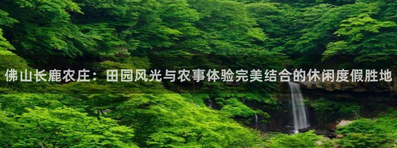 FH至尊娱乐注册