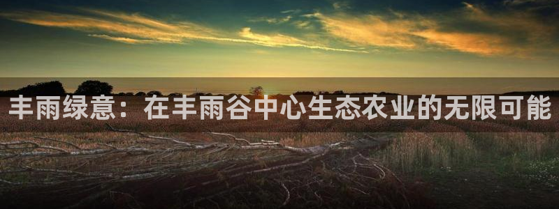 沃尔沃fh至尊旗舰版