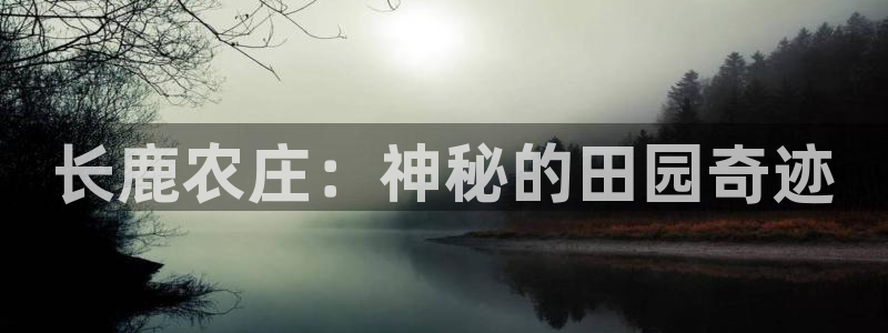fh至尊怎么改密码