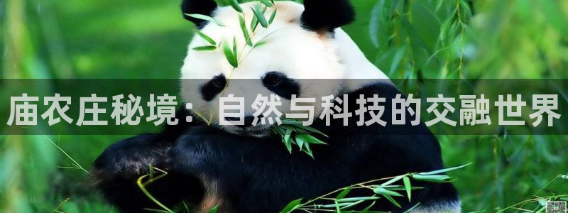 fh至尊基础奖金多少