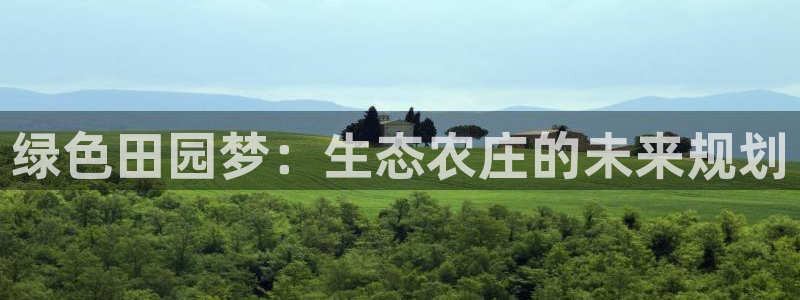 fh至尊安全吗