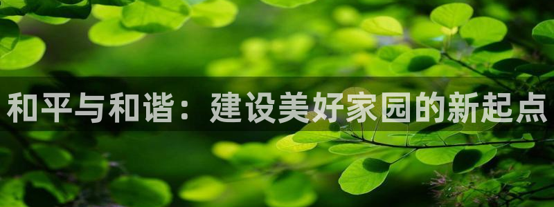 凤凰至尊FH正常登录