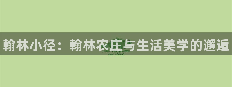 fh至尊诚信19年