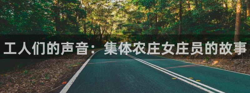 fh至尊品牌介绍