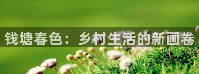 FH至尊隶属哪家公司