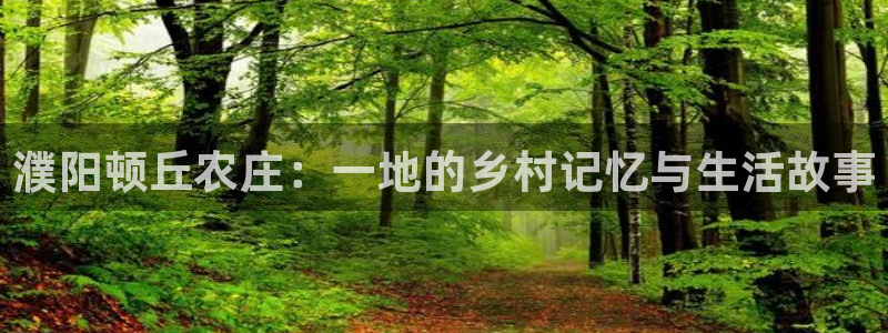 FH至尊信誉怎么样