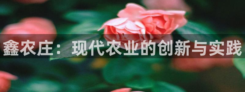 FH至尊黑