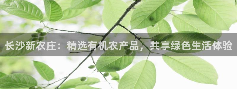 fh 至尊