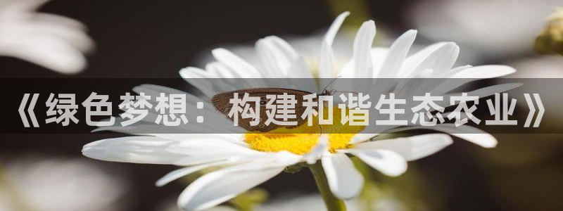 fh至尊平台怎么打不开了呢